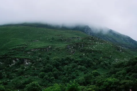 خلفية تلال خضراء بدقة 4K · nature · 3840×2560