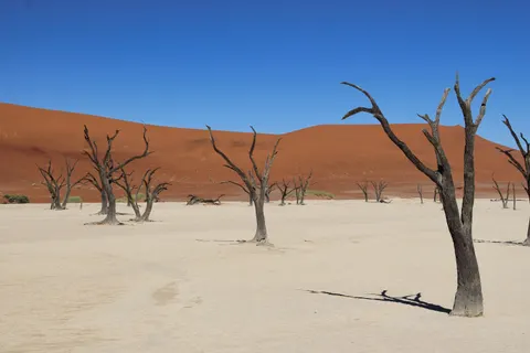 Papel de parede Dunas do deserto 4K · nature · 3840×2560