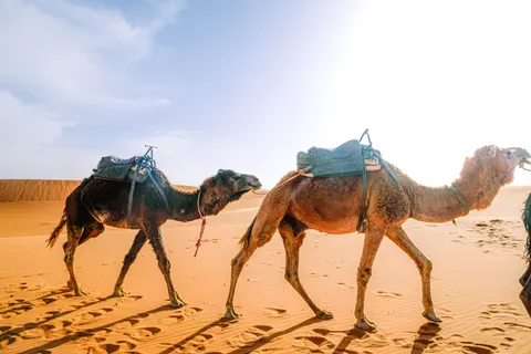 خلفية كثبان الصحراء بدقة 4K · nature · 3840×2560