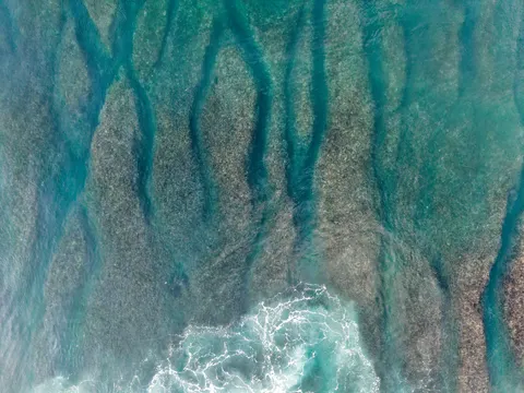 मूंगा चट्टान 4K वॉलपेपर · ocean · 3840×2880