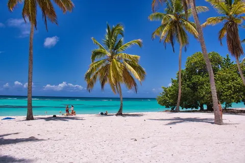 Tropisches Paradies 4K Hintergrundbild · tropical · 3840×2560