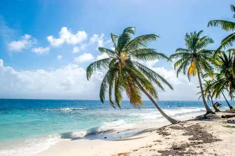 Tropisches Paradies 4K Hintergrundbild · tropical · 3840×2560
