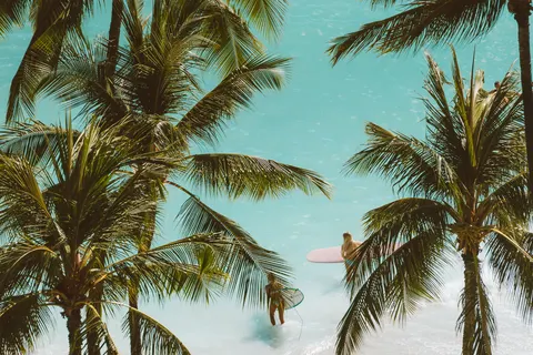 Tropisches Paradies 4K Hintergrundbild · tropical · 3840×2560