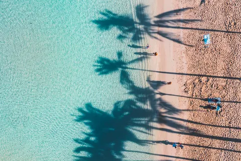 Tropisches Paradies 4K Hintergrundbild · tropical · 3840×2558
