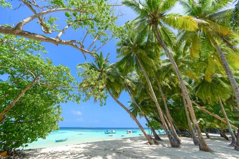 Tropisches Paradies 4K Hintergrundbild · tropical · 3840×2563