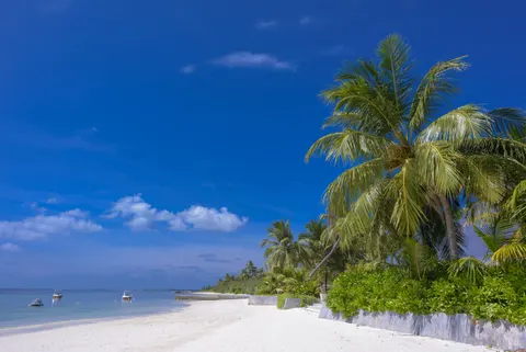 Tapeta Tropikalny Raj 4K · tropical · 3840×2563