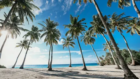 Tropical Paradise 4K Wallpaper · tropical · 3840×2184