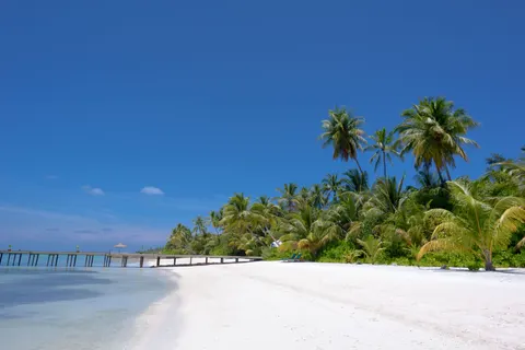 Tropisches Paradies 4K Hintergrundbild · tropical · 3840×2563
