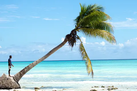 Tropical Paradise 4K Wallpaper · tropical · 3840×2560