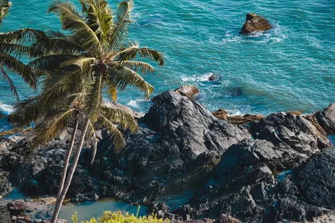 Tropisches Paradies 4K Hintergrundbild · tropical · 3840×2560