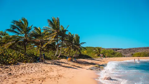 Tapeta Tropikalny Raj 4K · tropical · 3840×2161