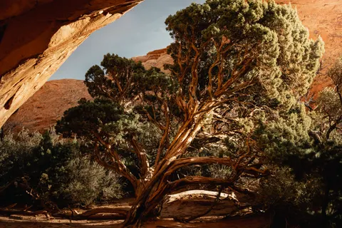 Canyon 4K Wallpaper · nature · 3840×2561