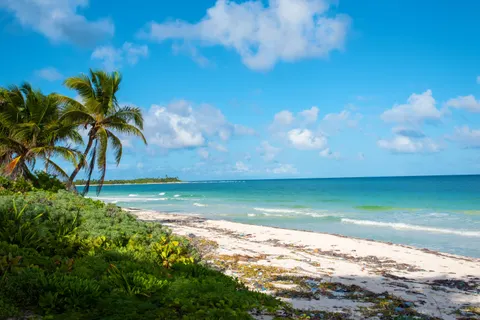 Tropisches Paradies 4K Hintergrundbild · tropical · 3840×2563