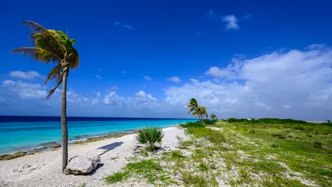 Tropisches Paradies 4K Hintergrundbild · tropical · 3840×2160