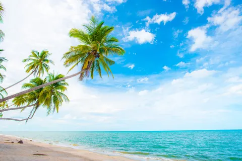 Tropisches Paradies 4K Hintergrundbild · tropical · 3840×2563