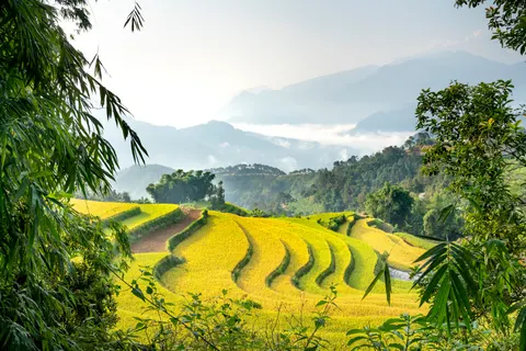 Rice Terraces 4K Wallpaper · nature · 3840×2561