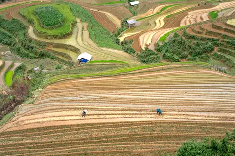 Papel de parede Terraços de arroz 4K · nature · 3840×2560