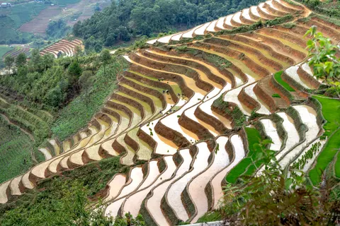 Fondo de pantalla Terrazas de arroz 4K · nature · 3840×2560