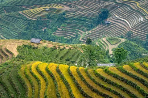 Rice Terraces 4K Wallpaper · nature · 3840×2561