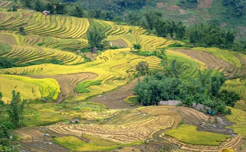 Rice Terraces 4K Wallpaper · nature · 3840×2383