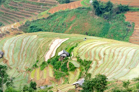 Rice Terraces 4K Wallpaper · nature · 3840×2560