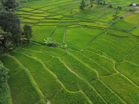 Rice Terraces 4K Wallpaper · nature · 3840×2880