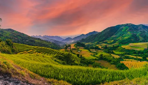 Rice Terraces 4K Wallpaper · nature · 3840×2200