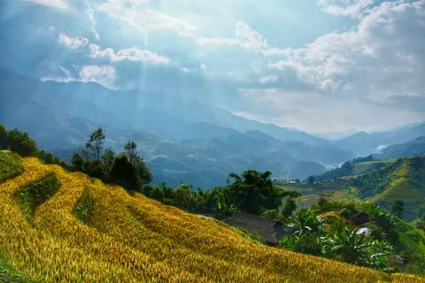 계단식 논 4K 배경화면 · nature · 3840×2560