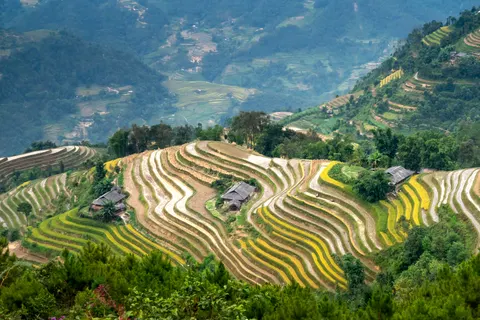 Rice Terraces 4K Wallpaper · nature · 3840×2561