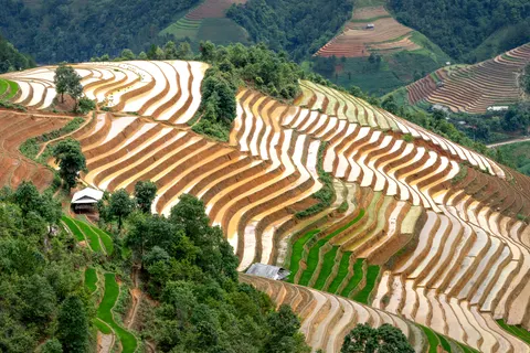 Rice Terraces 4K Wallpaper · nature · 3840×2560