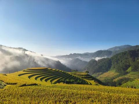 계단식 논 4K 배경화면 · nature · 3840×2880