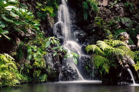 उष्णकटिबंधीय झरना 4K वॉलपेपर · tropical · 3840×2560