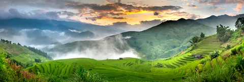 Fond d'écran Rizières en terrasses 4K · nature · 3840×1296