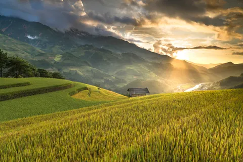Rice Terraces 4K Wallpaper · nature · 3840×2561