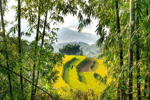 Rice Terraces 4K Wallpaper · nature · 3840×2561