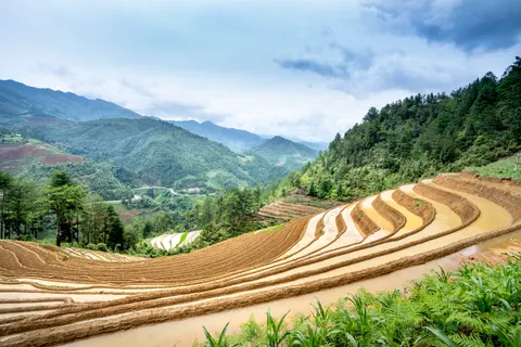Rice Terraces 4K Wallpaper · nature · 3840×2560