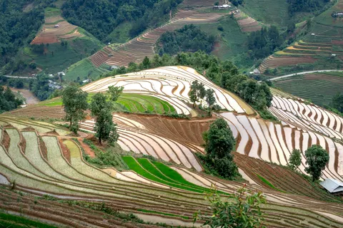 Rice Terraces 4K Wallpaper · nature · 3840×2560