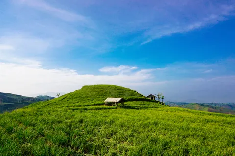 계단식 논 4K 배경화면 · nature · 3840×2560