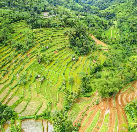 Rice Terraces 4K Wallpaper · nature · 3840×3705