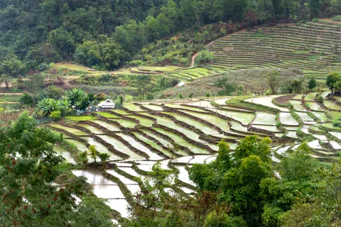 Rice Terraces 4K Wallpaper · nature · 3840×2561