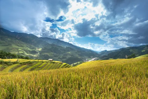 Rice Terraces 4K Wallpaper · nature · 3840×2561