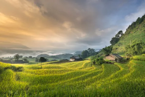 Rice Terraces 4K Wallpaper · nature · 3840×2561