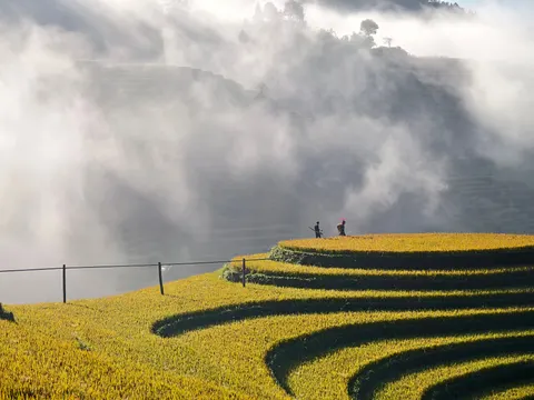 계단식 논 4K 배경화면 · nature · 3840×2880