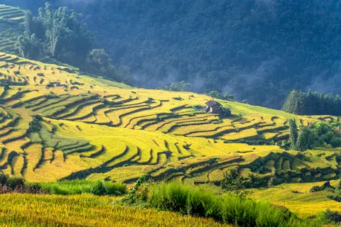 Rice Terraces 4K Wallpaper · nature · 3840×2561