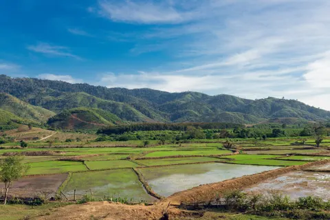 Rice Terraces 4K Wallpaper · nature · 3840×2560