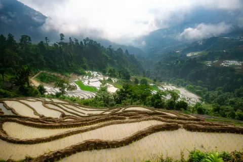 Rice Terraces 4K Wallpaper · nature · 3840×2555