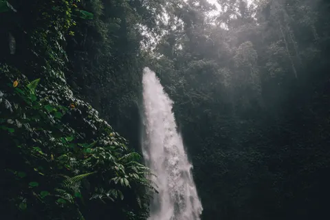 Fond d'écran Chutes tropicales 4K · tropical · 3840×2560
