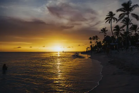 열대 노을 4K 배경화면 · tropical · 3840×2560