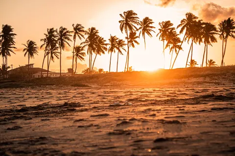 Tapeta Tropikalny Zachód Słońca 4K · tropical · 3840×2560