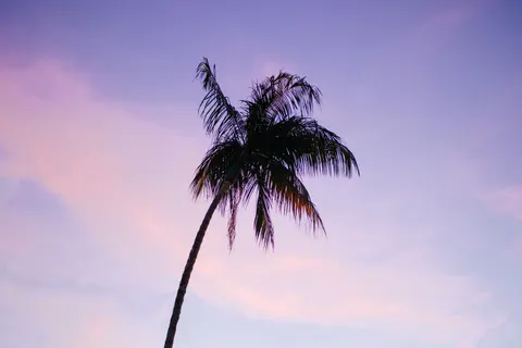 Tropical Sunset 4K Wallpaper · tropical · 3840×2560